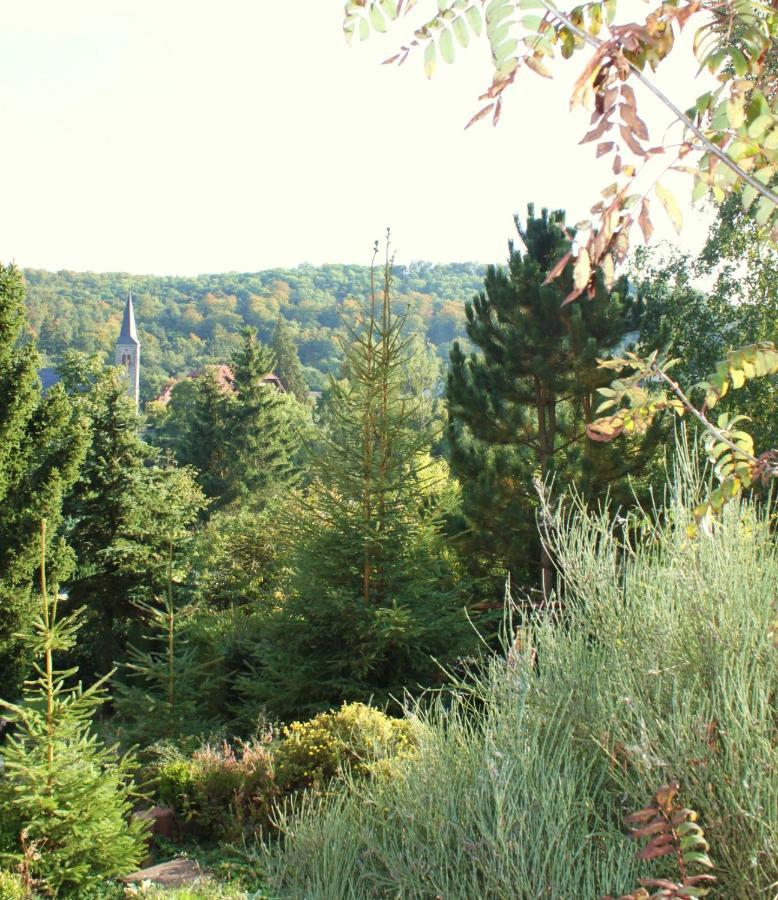 Ferienhaus Harzblick 군터스베르게 외부 사진